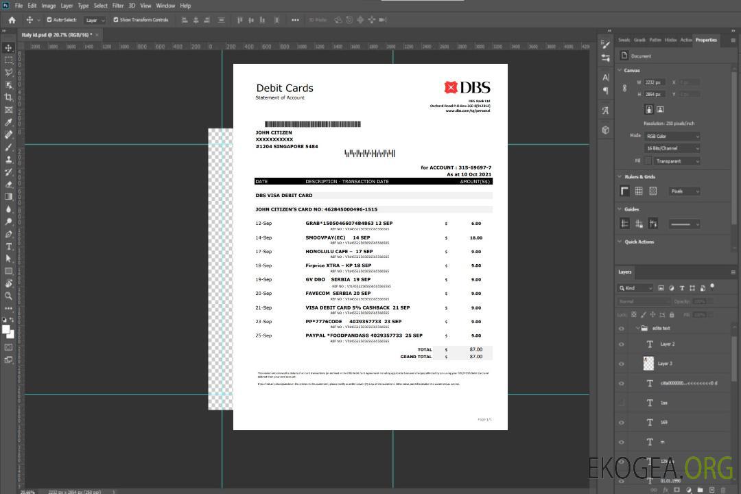 Singapour DBS Bank excel pdf template